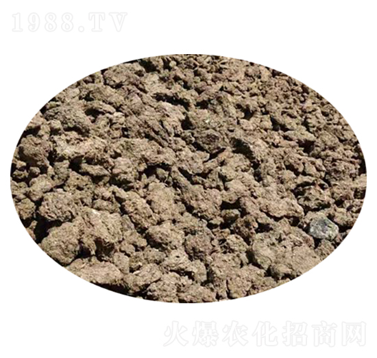 牛糞-莊諾熙農(nóng)業(yè)