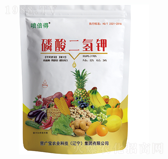 ��������-������-�I(y��ng)�V��