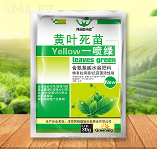 黃葉死苗一噴綠-拜潤蕓樂收