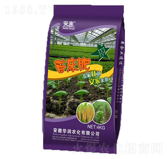 �紲��-�A���r��