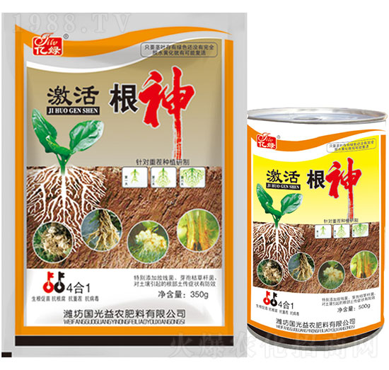 激活根神-國光益農