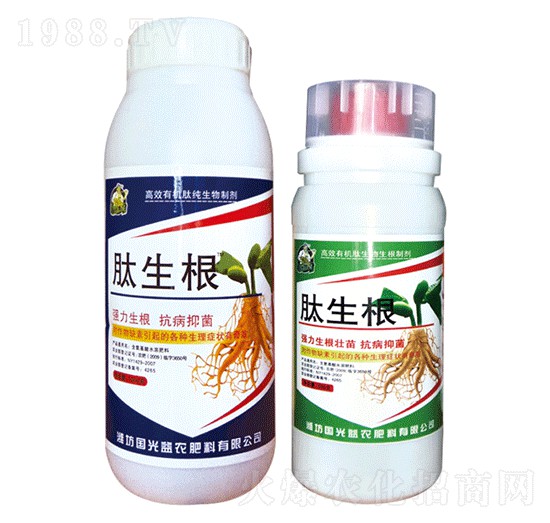 肽生根-國(guó)光益農(nóng)