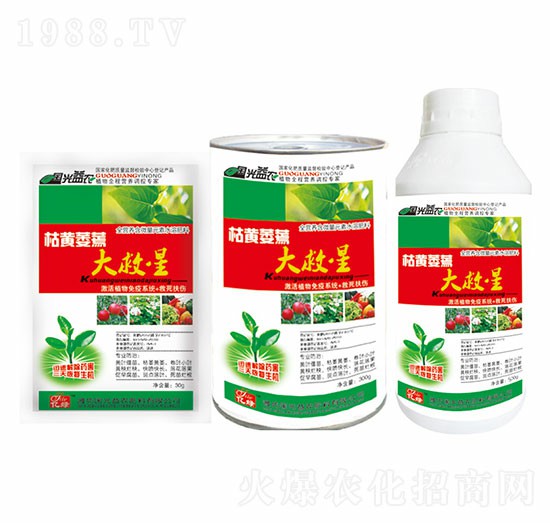 枯黃萎蔫大救星-國光益農(nóng)