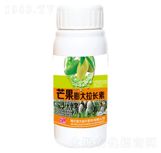 芒果膨大拉長素-國光益農