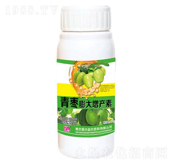 青棗膨大增產(chǎn)素-國光益農(nóng)