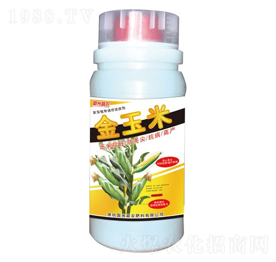 500g金玉米-國光益農(nóng)