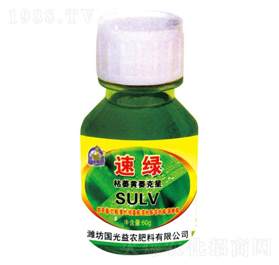 枯萎黃萎克星-速綠-國光益農(nóng)