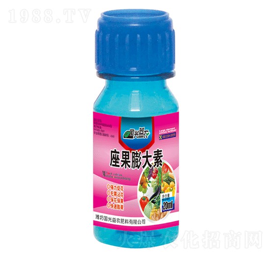 座果膨大素-國光益農(nóng)