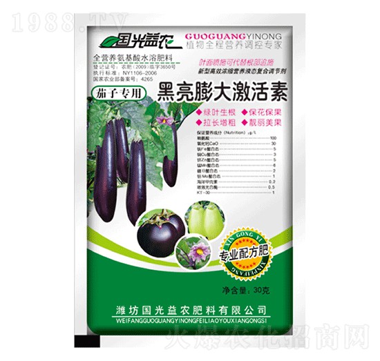 茄子黑亮膨大激活素-國(guó)光益農(nóng)