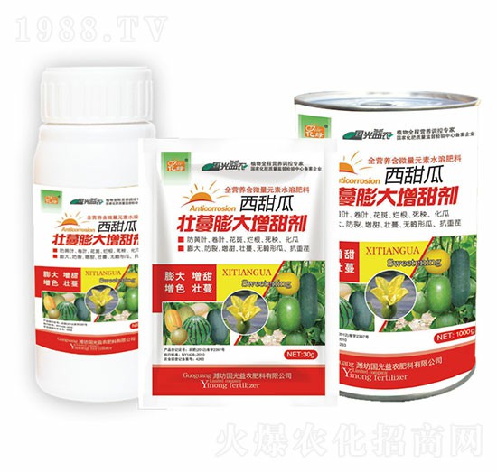 西甜瓜壯蔓膨大增甜素-國(guó)光益農(nóng)