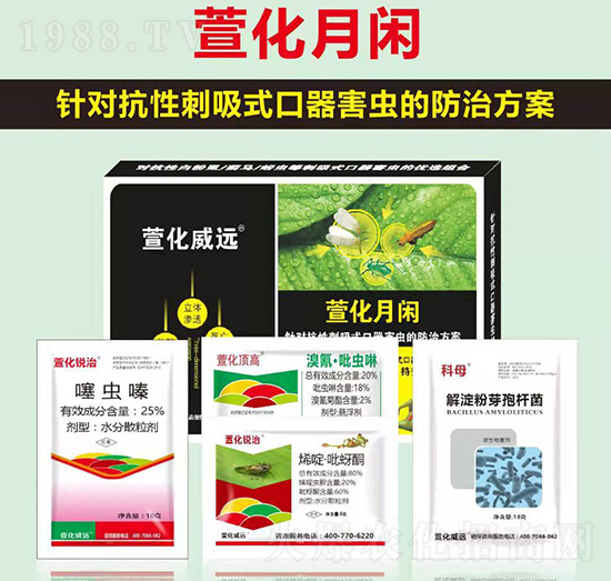 萱化月閑-萱化威遠(yuǎn)