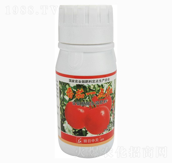 番茄專(zhuān)用含氨基酸水溶肥料-番茄一點(diǎn)紅-中天肥業(yè)