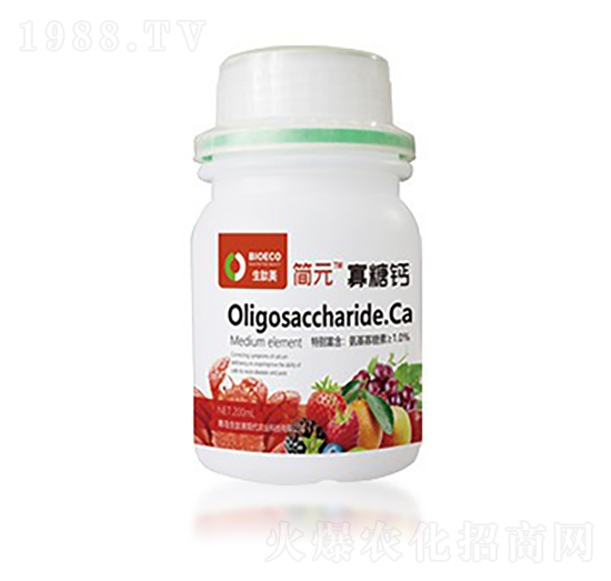 �����}-��Ԫ��ƿ��-������