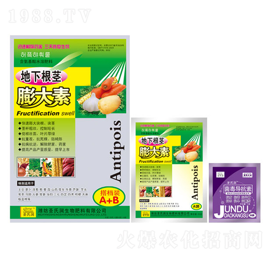 地下膨大素-圣氏潤(rùn)