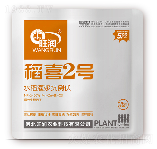 水稻灌漿抗倒伏-稻喜2號(hào)-旺潤農(nóng)業(yè)