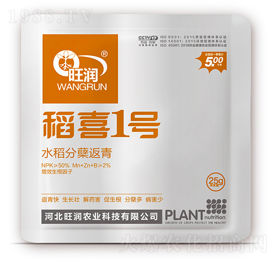 水稻分蘗返青-稻喜1號-旺潤農業(yè)