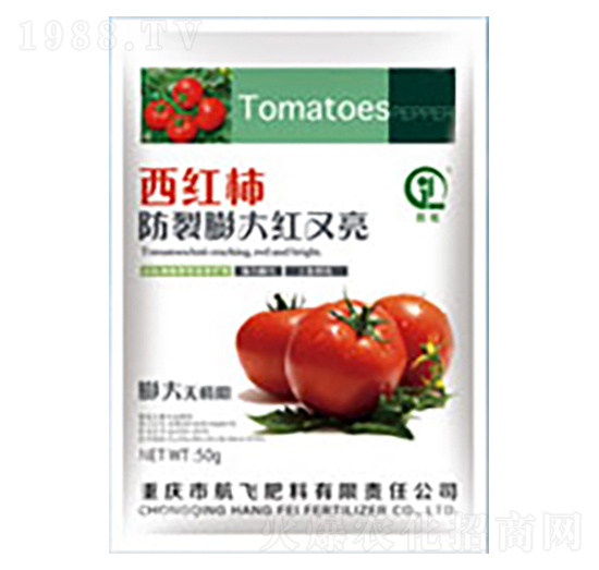 ���t���������t����-���л���