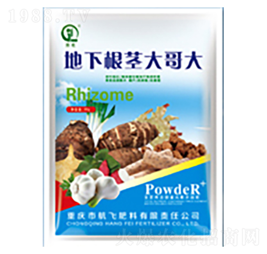 地下根莖大哥大-白市化工