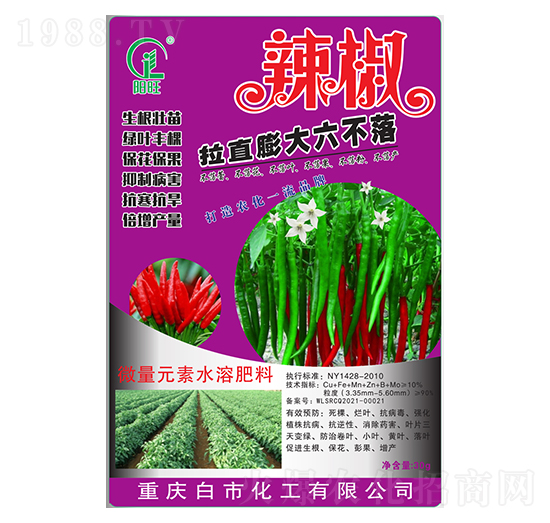 辣椒拉直膨大六不落-白市化工