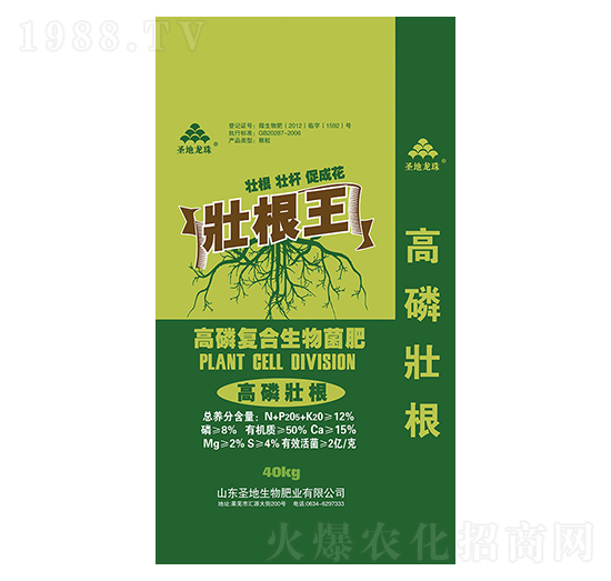 ���׏�(f��)���������-�Ѹ���-ʥ��