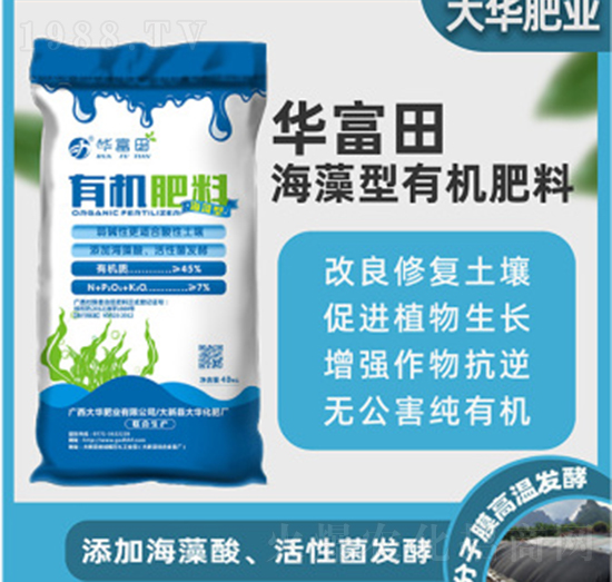 �������ЙC(j��)����-�A����-���A�ʘI(y��)