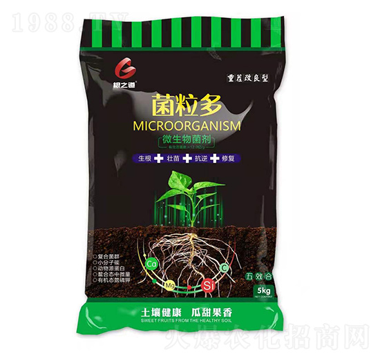 ΢�������-������-��֮��