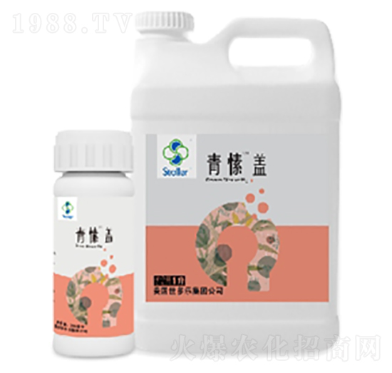 青愫蓋-世多樂(lè)