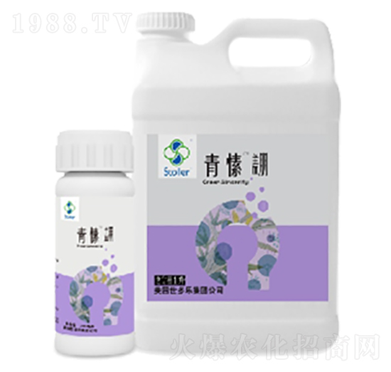 青愫蓋朋-世多樂(lè)