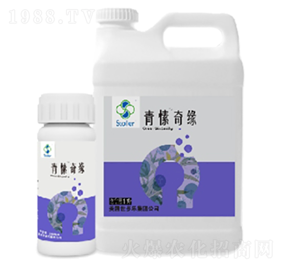 ����澉-������