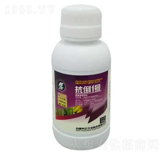 100ml含腐植酸水溶肥料-抗倒1號-養(yǎng)正