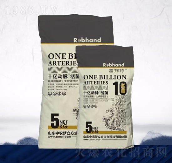 十一動脈活菌-中農夢