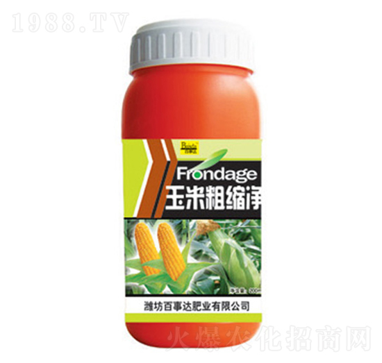 ���״ֿs��-�����_