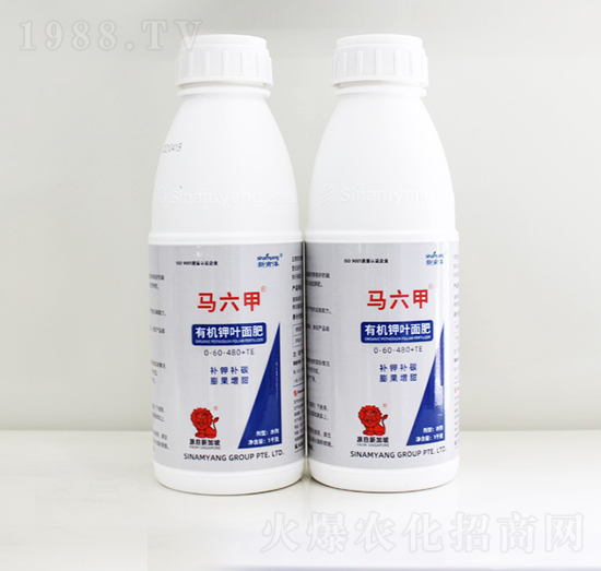 �R�����ЙC(j��)��~���-Сħ��