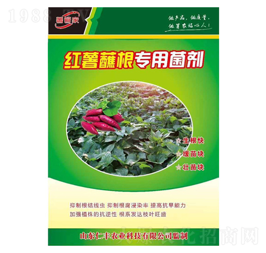 紅薯蘸根專(zhuān)用菌劑-仁豐農(nóng)業(yè)