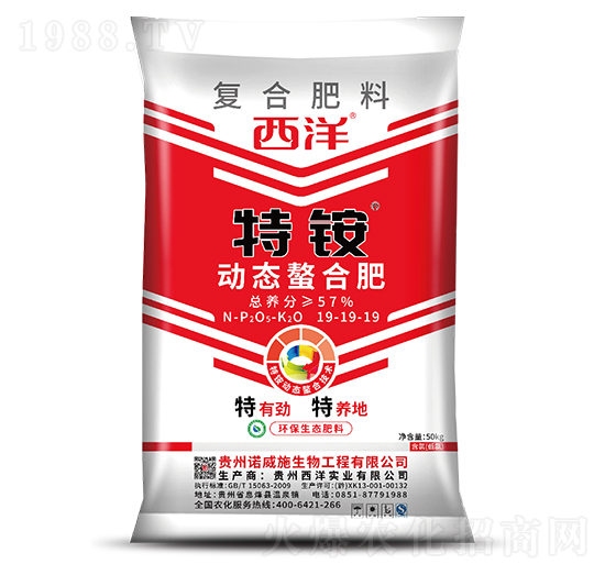 �ӑB(t��i)���ϏͺϷ���19-19-19-���@-���󌍘I(y��)