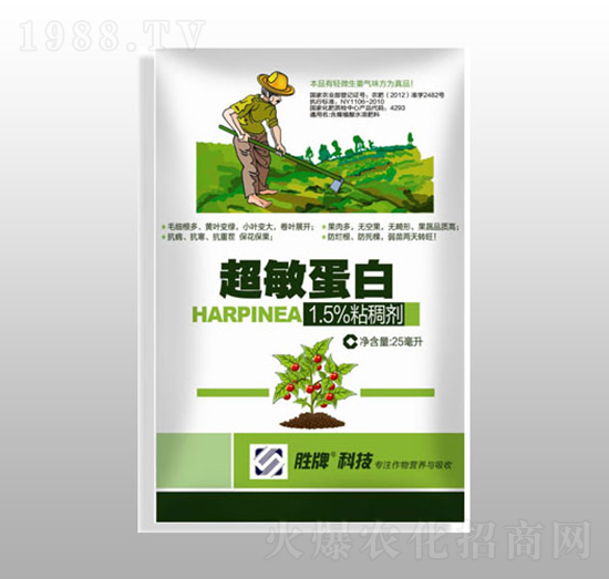 ��������-ِ�����