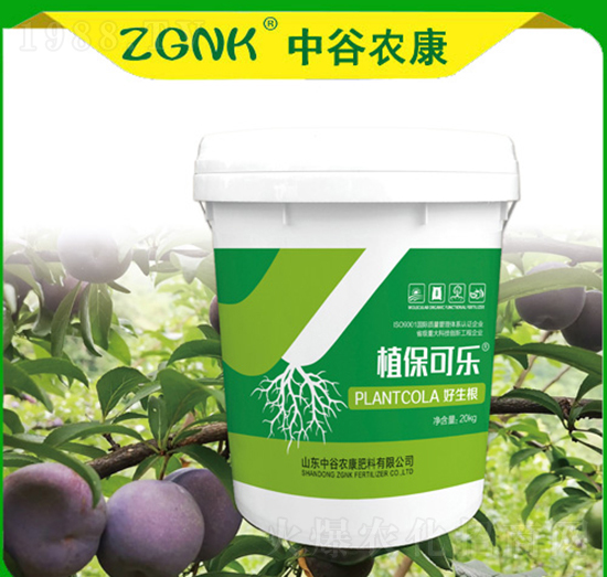 ������-ֲ���ɘ�-�й��r(n��ng)��