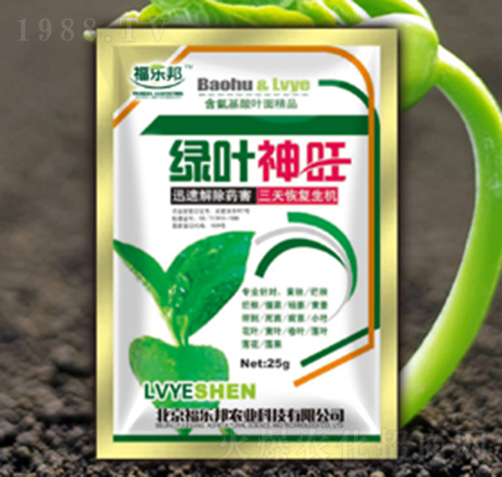 綠葉神旺-福樂邦