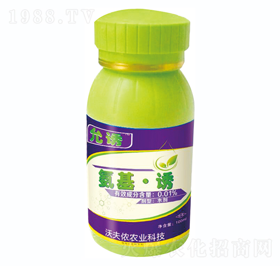 �������T-�ַ�z