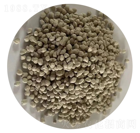 ���@�w��-�ǈ�