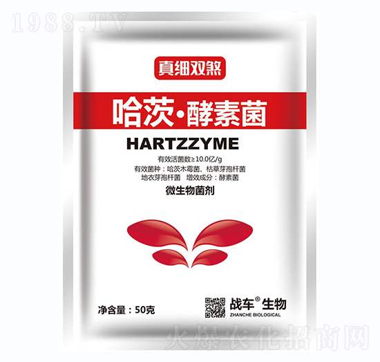 哈茨·酵素菌-真細(xì)雙煞-戰(zhàn)車