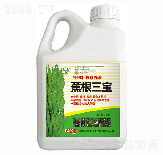 蕉根三寶-戰(zhàn)車