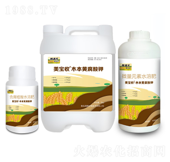 ľ���S�����-������-�M������