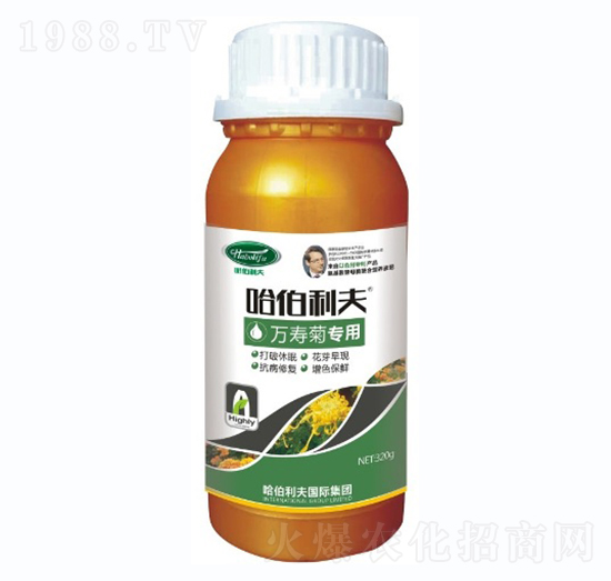 萬(wàn)壽菊專用-哈伯利夫