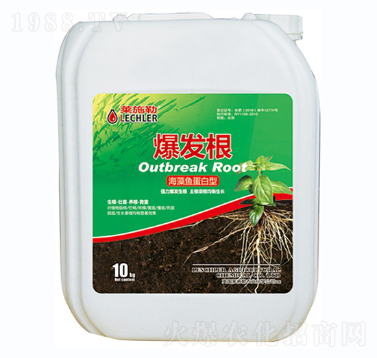 海藻魚蛋白型-爆發(fā)根-蔬美特