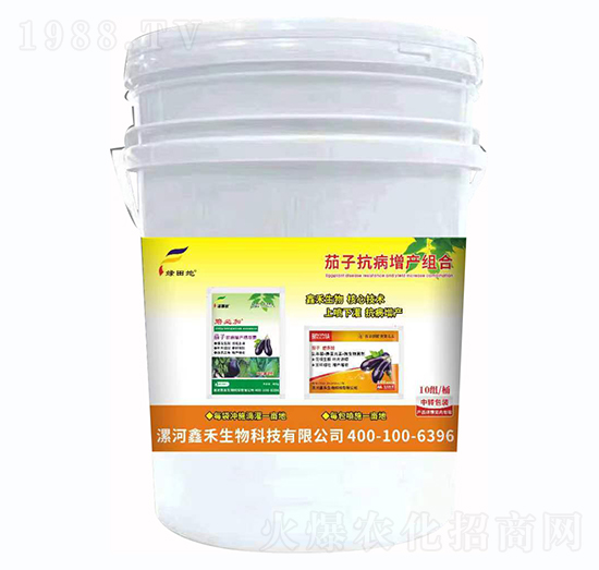 茄子抗病增產(chǎn)組合-綠田地-鑫禾生物