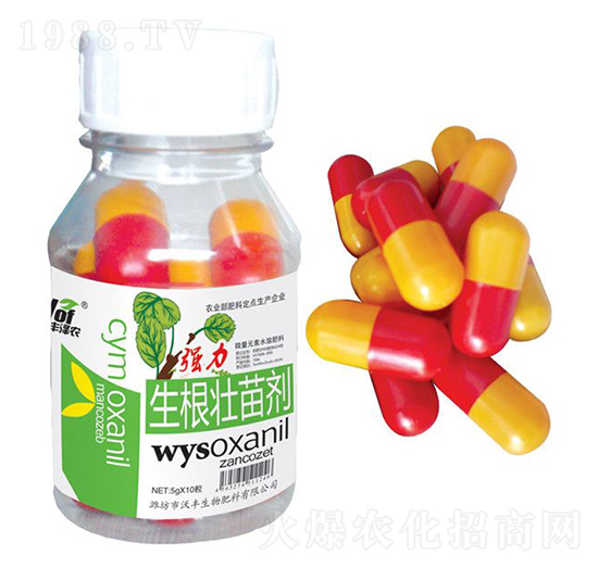 強力生根壯苗劑-沃豐澤農-沃豐生物