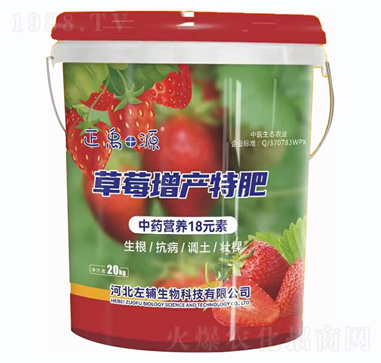 草莓增產(chǎn)特肥-正禹源-左輔