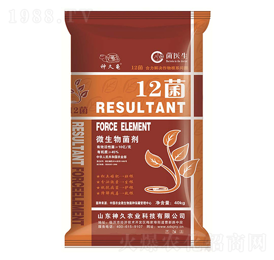 10�|΢�������-12��-����r(n��ng)�I(y��)