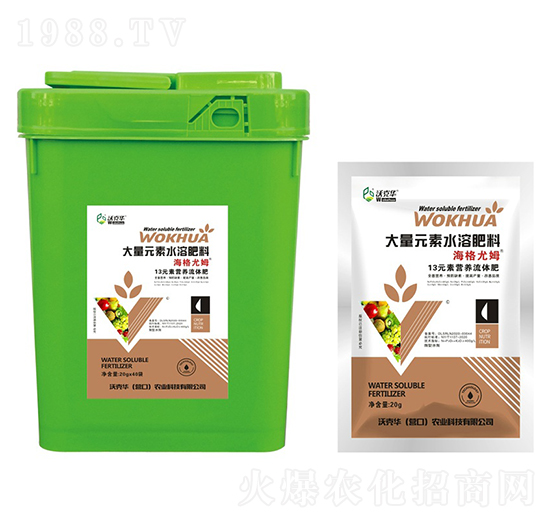 ������ķ13Ԫ�ؠI�B(y��ng)���w��-�ֿ��A